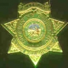 California Department Of Forestry CDF Arson Investigator Min Badge Pin